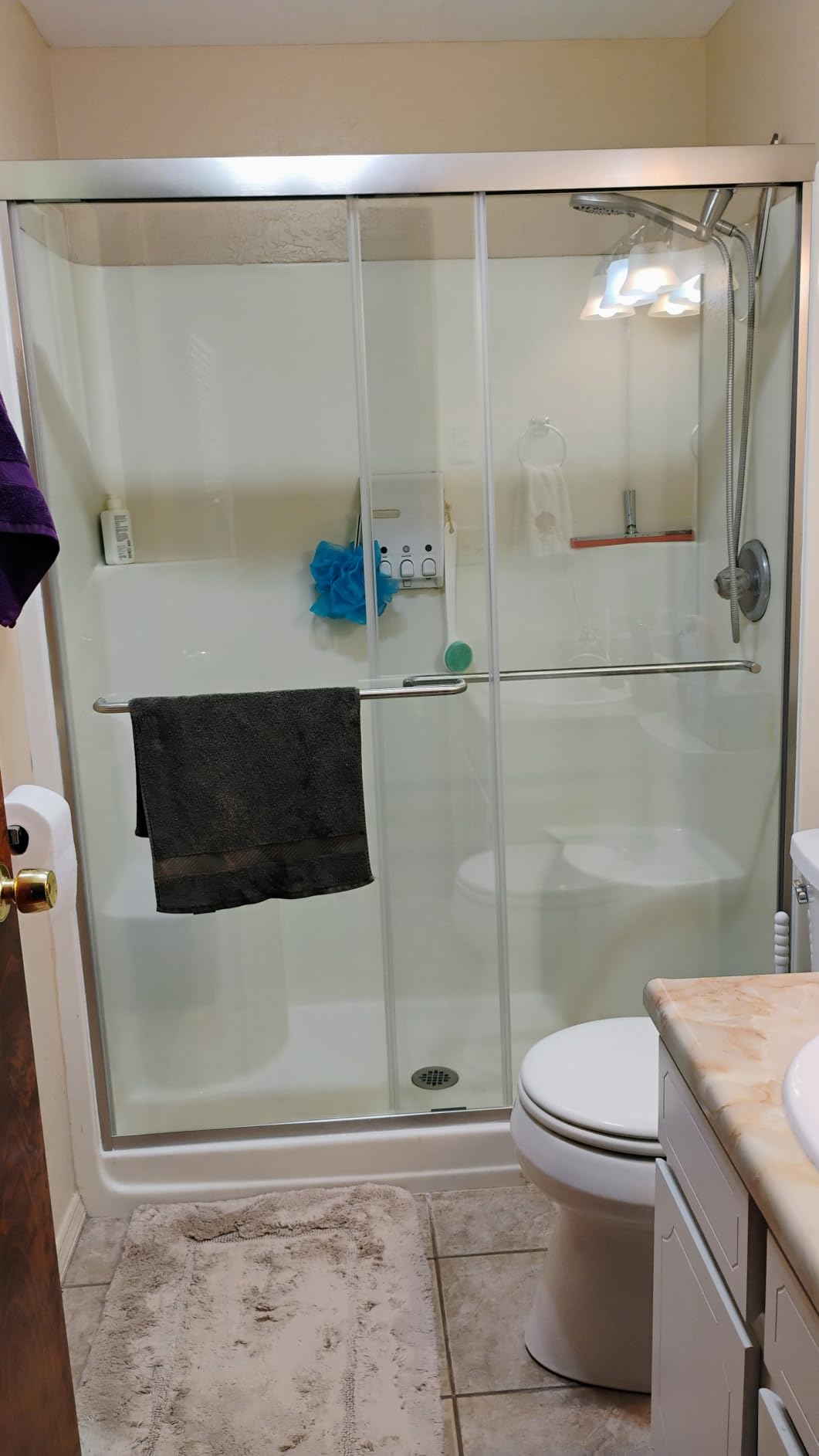 Royal Guard Double Sliding Shower Door,56-60