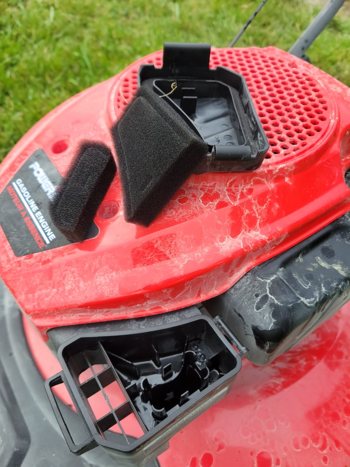 14 Inch Small Corded Lawn Mower with 12.5-Amp Motor, Ergonomic Handle customer photo 1