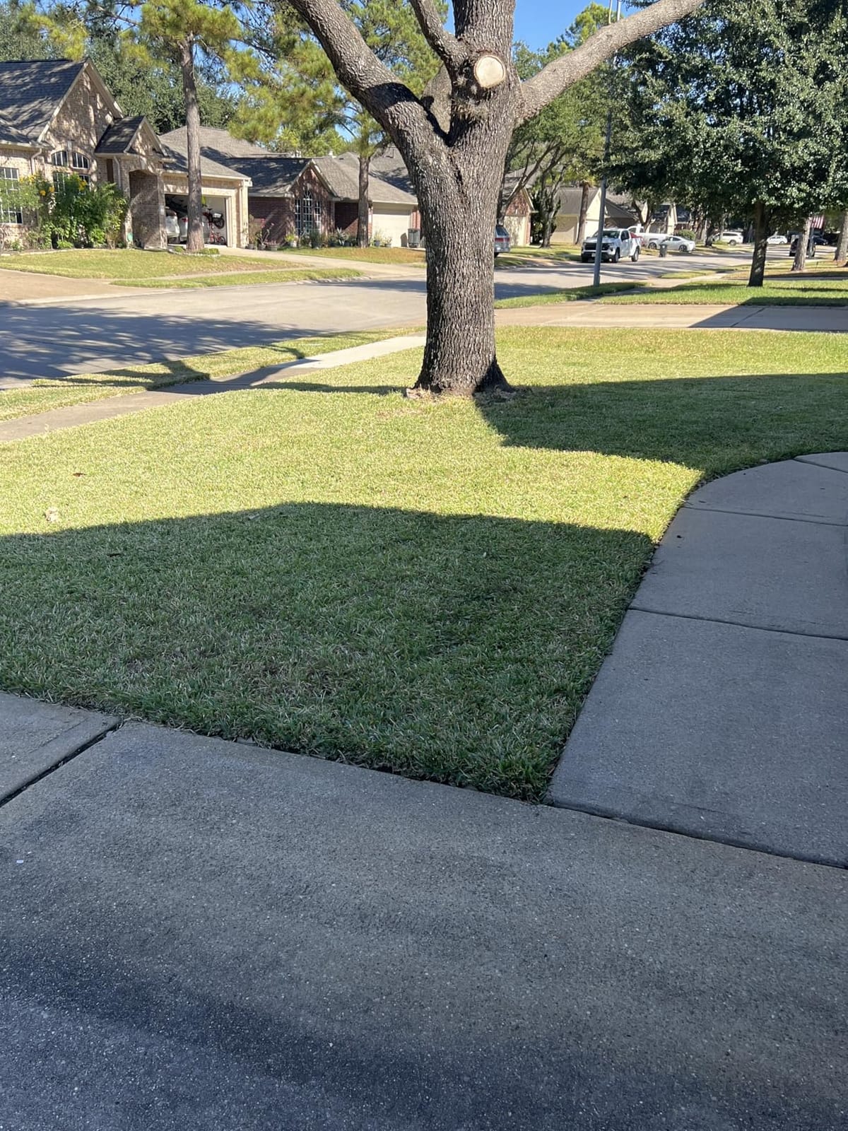 SKIL PWR CORE 40 Brushless 40V 20-Inch Self-Propelled Mower Kit, Includes 6.0Ah Battery and Auto PWR JUMP Charger - SM4910C-11 customer photo 1