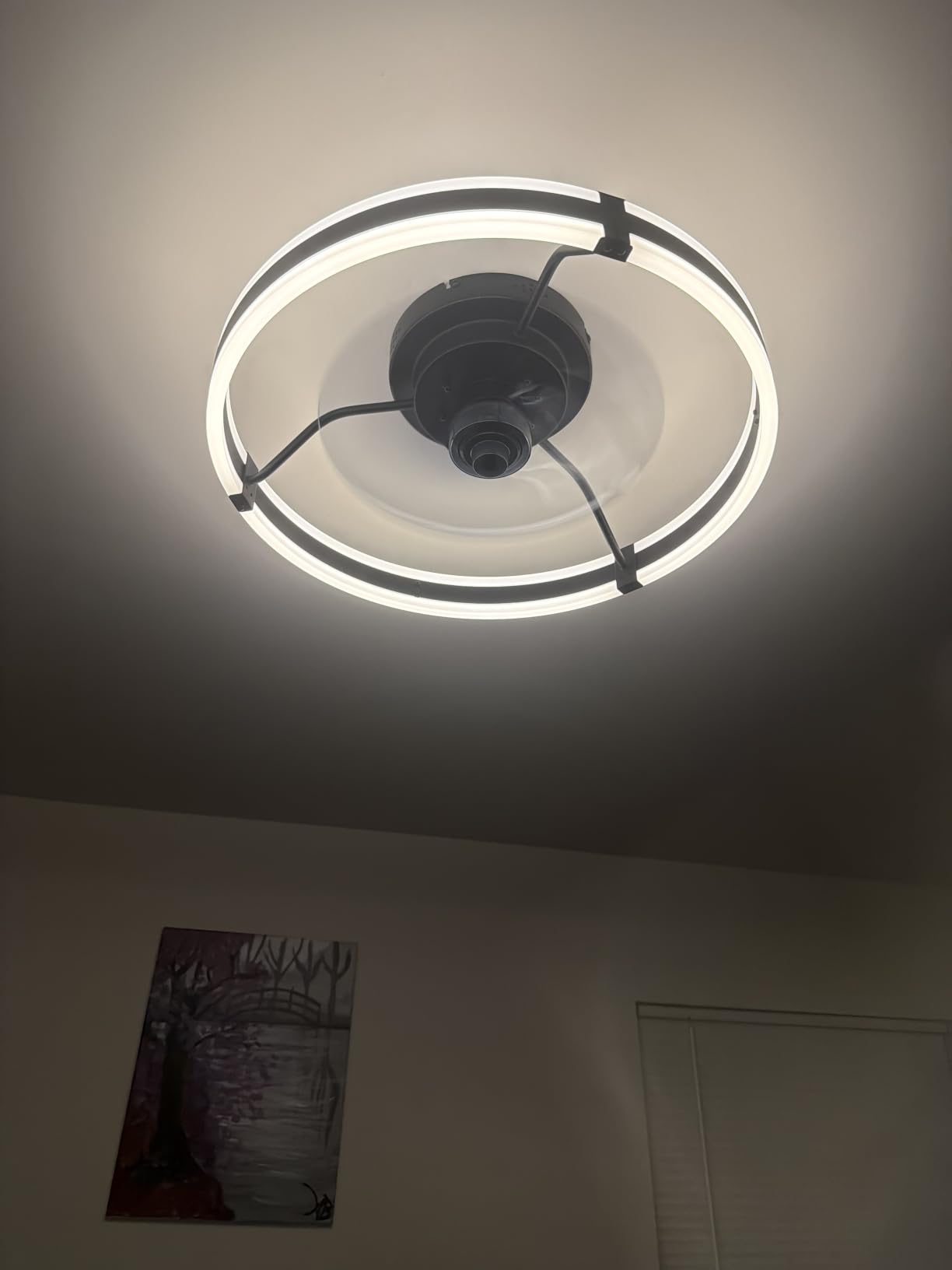 ZMISHIBO Low Profile 19.7'' Ceiling Fans with Lights and Remote, Black customer photo 1