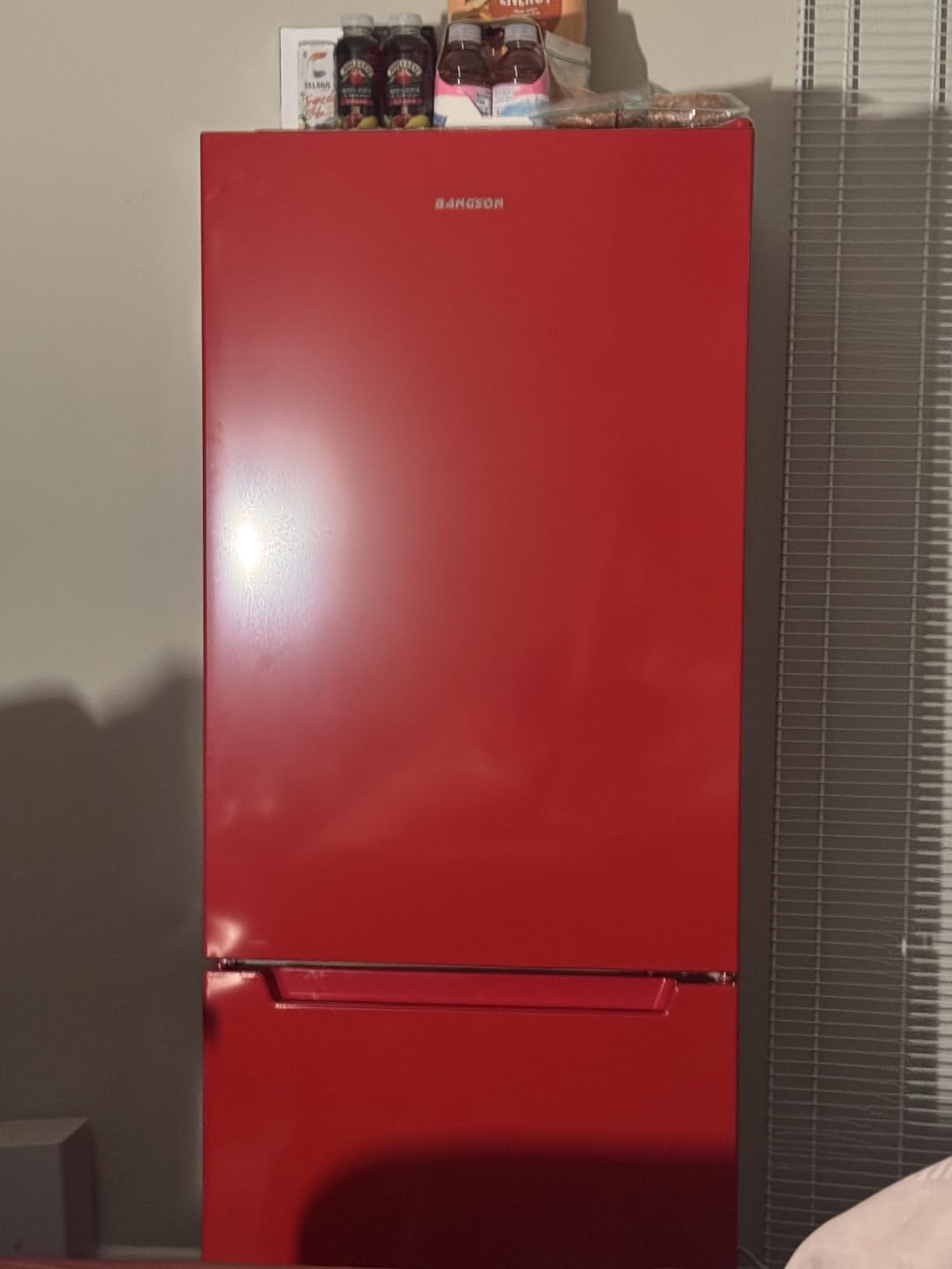 BANGSON Apartment 7.1 Cu.Ft Refrigerator with Bottom Freezer Silver customer photo 2