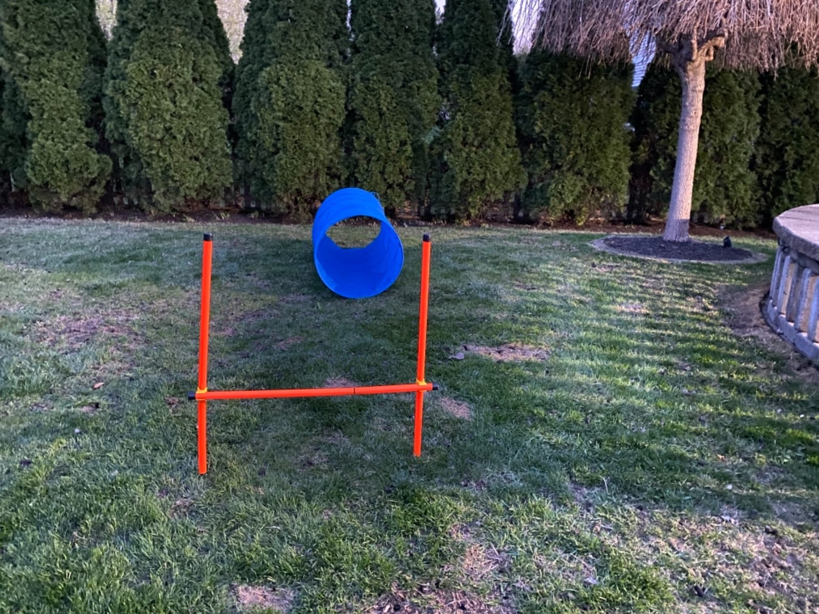 XiaZ Dog Agility Course Backyard Set, Dog Obstacle Course Training Starter Kit Pet Outdoor Game with Tunnel, Agility Hurdle, Weave Poles, Jump Ring, Pause Box, Collapsible Dog Bowls and Storage Bag customer photo 2
