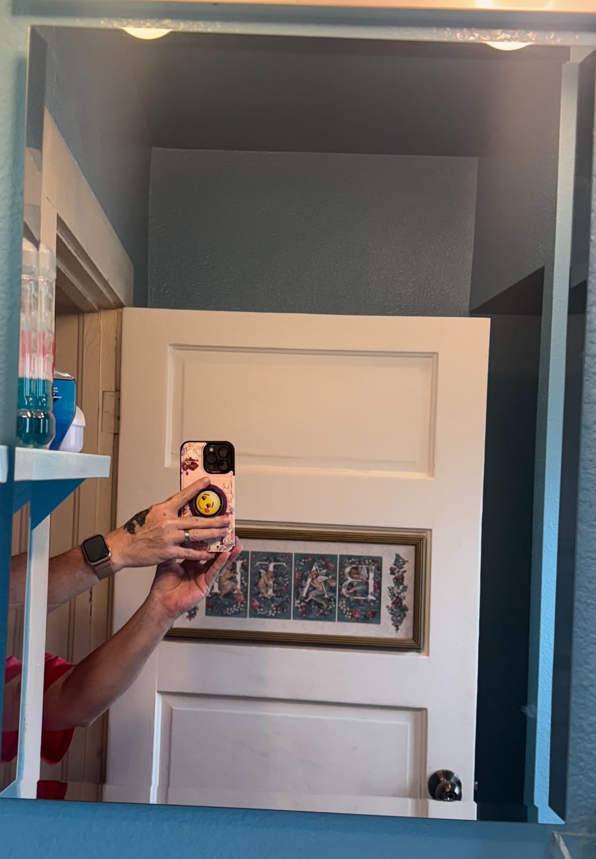 IDYLLOR Plastic Medicine Mirror Cabinet for Bathroom 16 x 26 inch, Surface and Recessed Mount customer photo 1