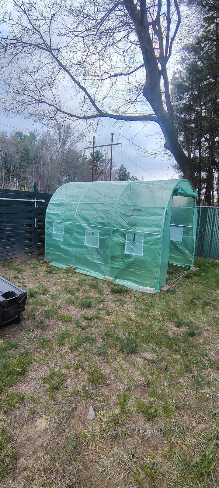 VEVOR Walk-in Tunnel Greenhouse, 9.6x6.4x6.2 ft Hoop House Greenhouse Tunnel, Plant Hot House with Galvanized Steel Frame, White PE Cover, Roll-up Zipper Door and 6 Windows for Outdoor customer photo 2