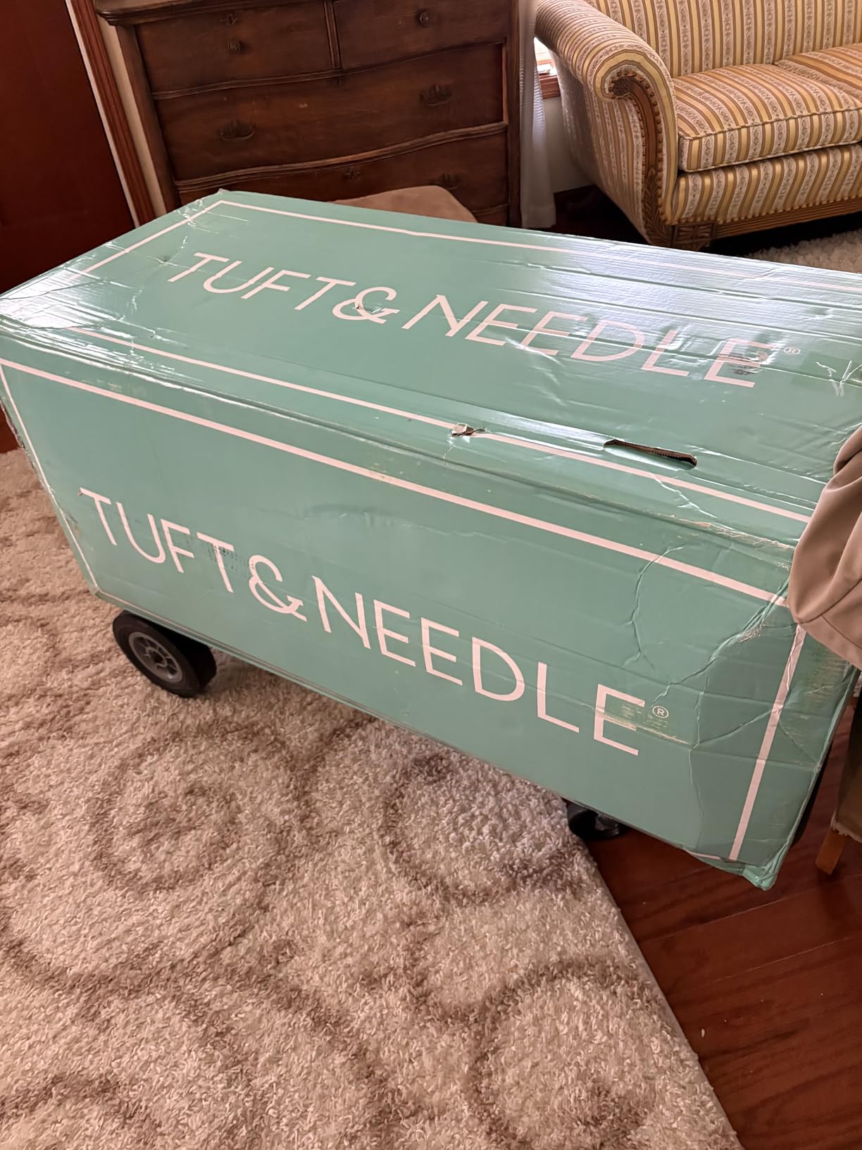 Tuft & Needle Mint Plush Hybrid Queen Mattress in a Box customer photo 2