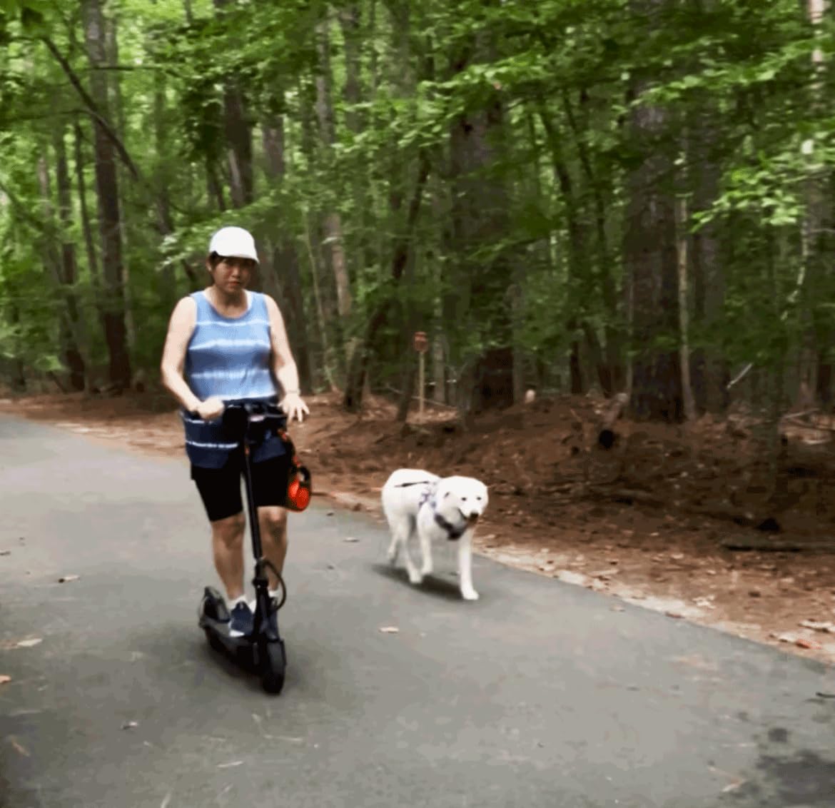 iScooter Electric Scooter for Adults, Foldable E-Scooter for Commuting customer photo 1