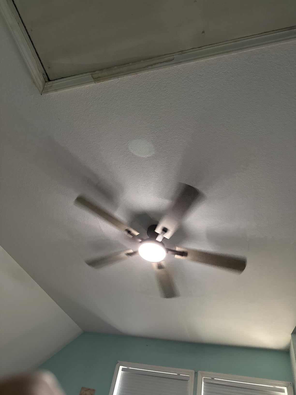 ZMISHIBO 52 Inch Ceiling Fans with Lights, Remote&App Control, Flush Mount customer photo 1