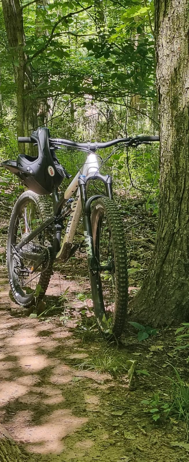 Canyon Spectral 6 customer photo 2