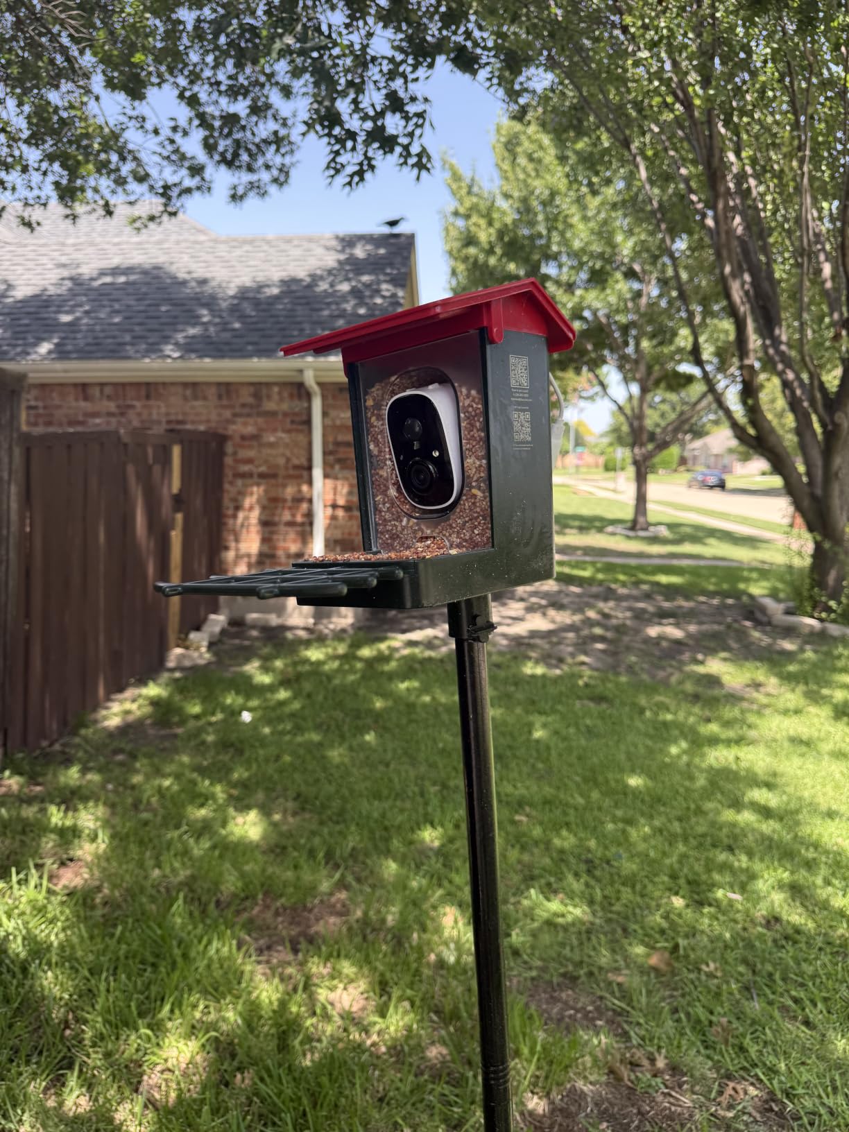 Smart Bird Feeder with Camera Solar Powered, 2K HD Video, AI Bird Species Identification, Instant Arrival Alerts, Weatherproof Design for Effortless Birdwatching, Best Gift for BirdLovers, Red customer photo 2