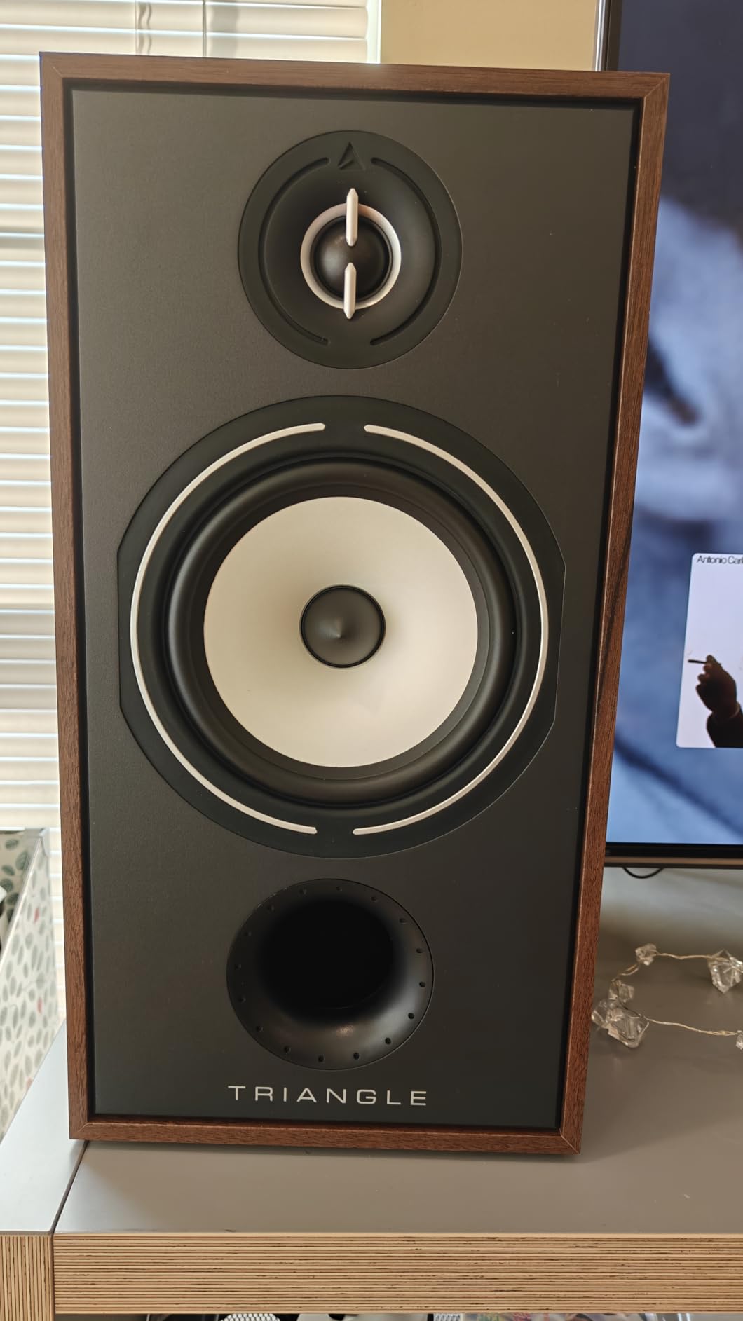 triangle Borea BR04 Bookshelf Speakers Pair - High Fidelity - 2-Way - 25mm EFS Silk Dome Tweeter with Waveguide (Oak Green) customer photo 1