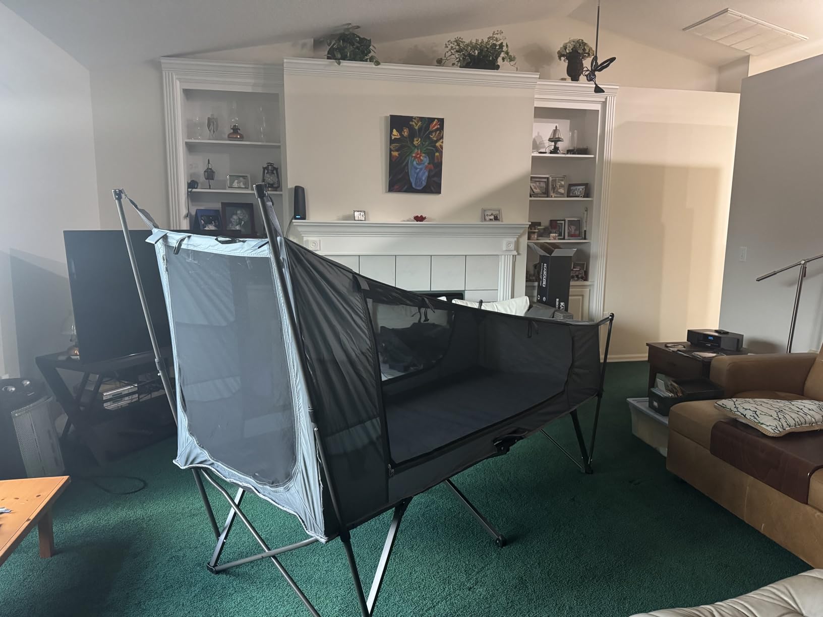 Kakadu Camping Tent Cot, 1 Person, 1 Minute Easy Setup, Folding, Compact, Elevated Tent with BlockOut Rain Fly, Awning Poles, Ultra-Fine Mesh Windows, and Carry Bag customer photo 1