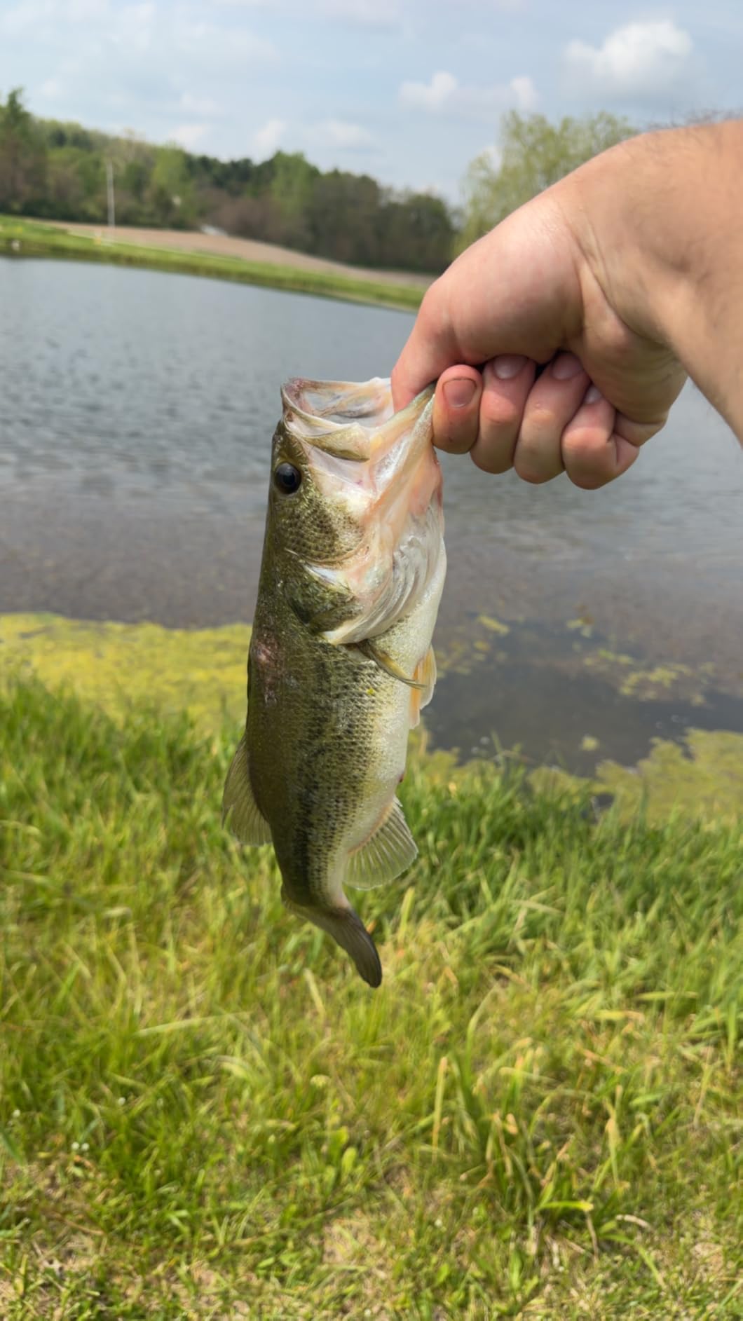 Ugly Stik Carbon Walleye Spinning Reel and Fishing Rod Combo customer photo 1