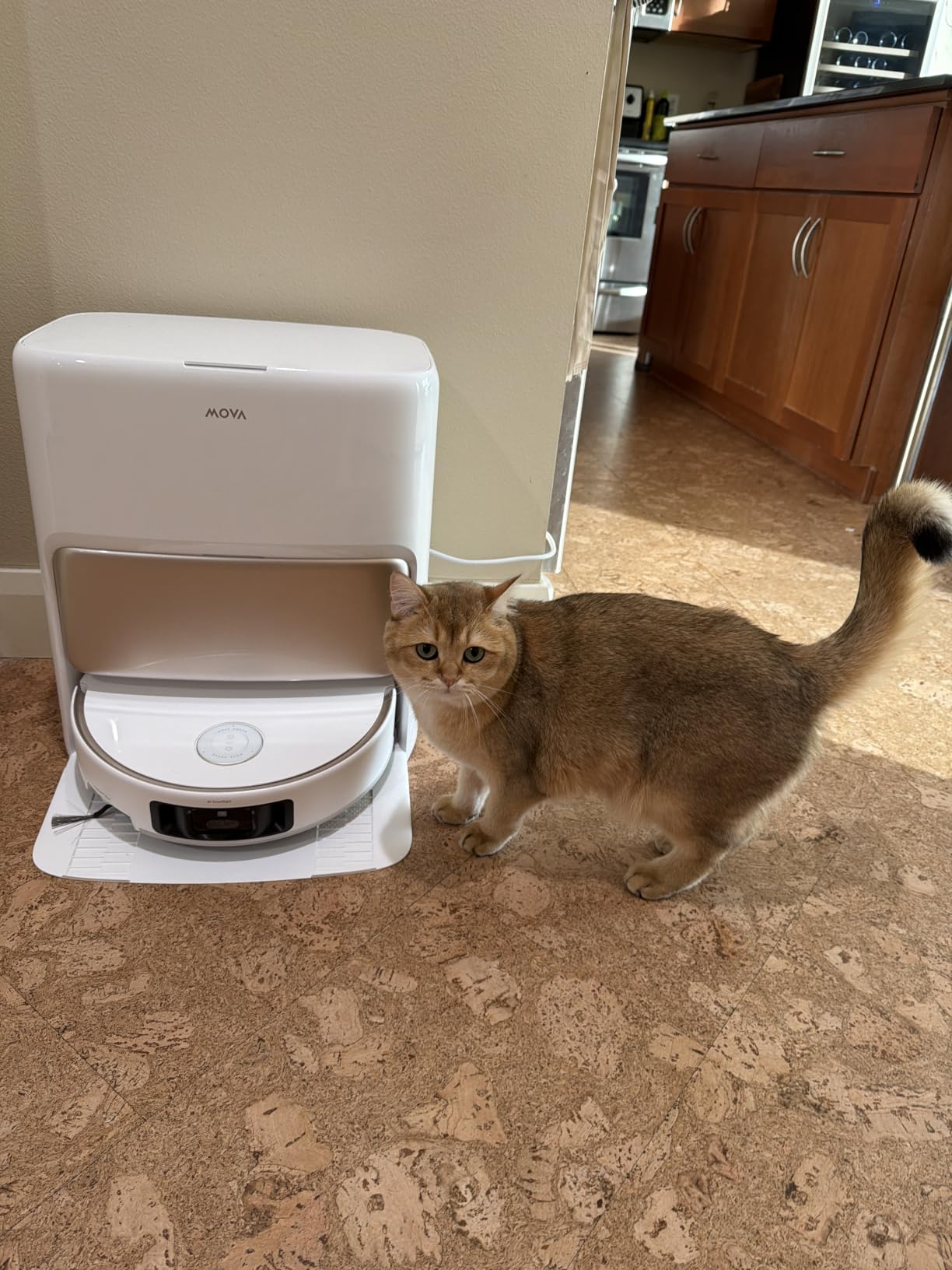 MOVA V50 Ultra Complete Robot Vacuum and Mop, 24,000Pa, Zero-Tangling customer photo 1