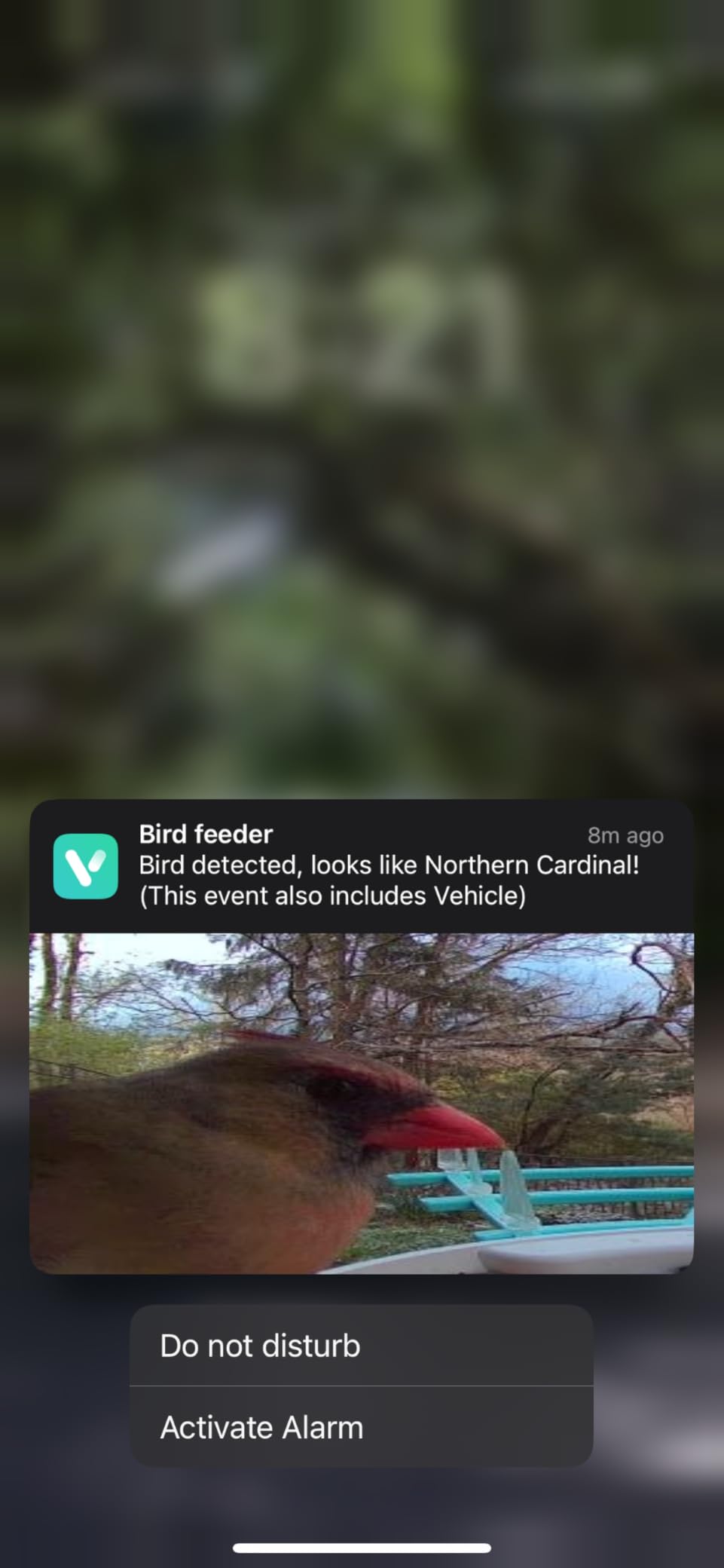Bird Feeder with Camera,WiFi Smart Bird House with Cam Solar Powered customer photo 2