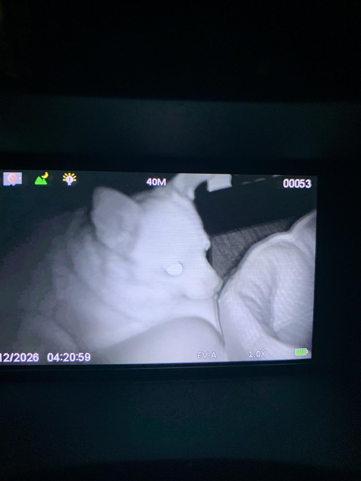 VisioGear 4K Night Vision Binoculars for Adults - Night Thunder X3 customer photo 2