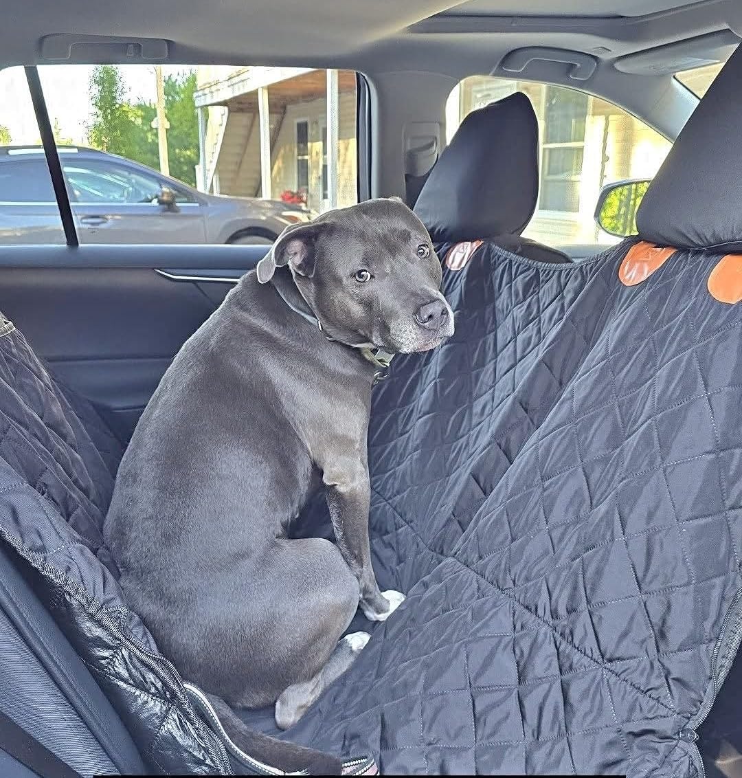 URPOWER Hard Bottom Dog Car Seat Cover for Back Seat, Waterproof Hammock customer photo 2