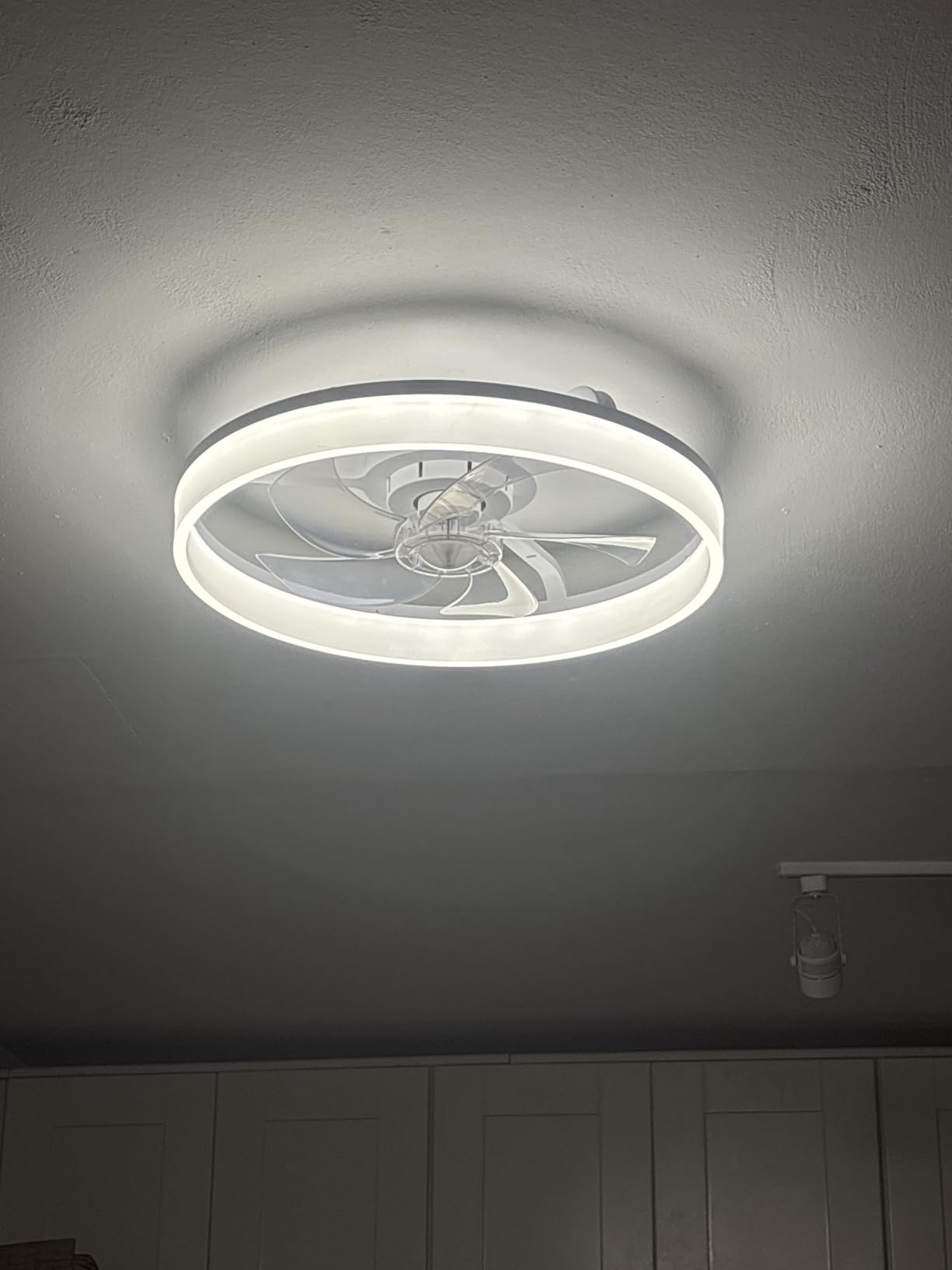DLLT Modern Ceiling Fans with Lights: 20