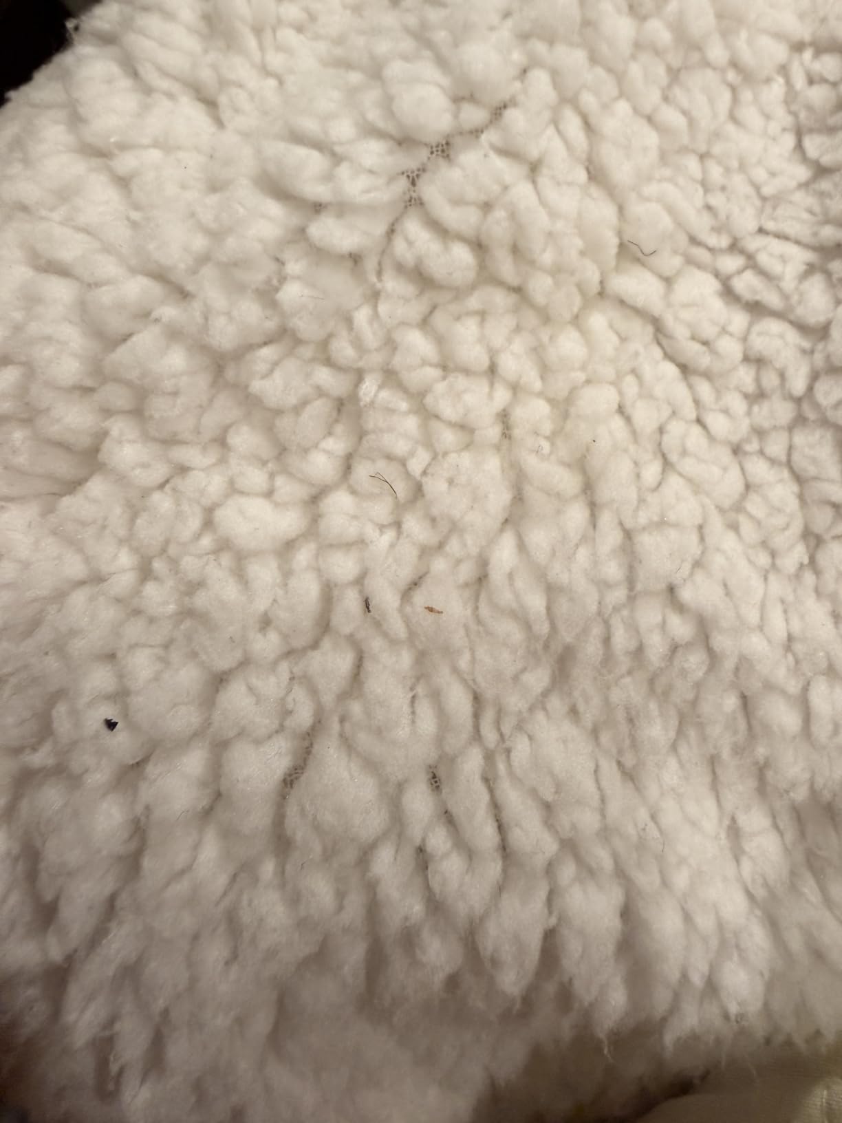 Soypipo Electric Heated Blanket 72