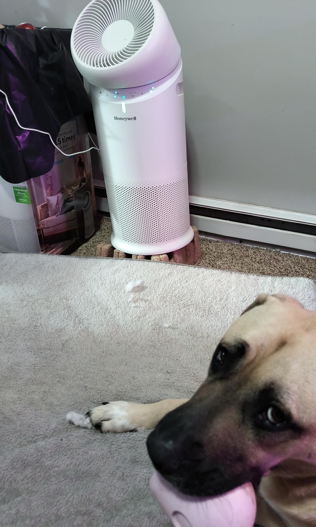 Honeywell Allergen Plus™ 3-in-1 HEPA Air Purifier Fan & Air Circulator customer photo 2