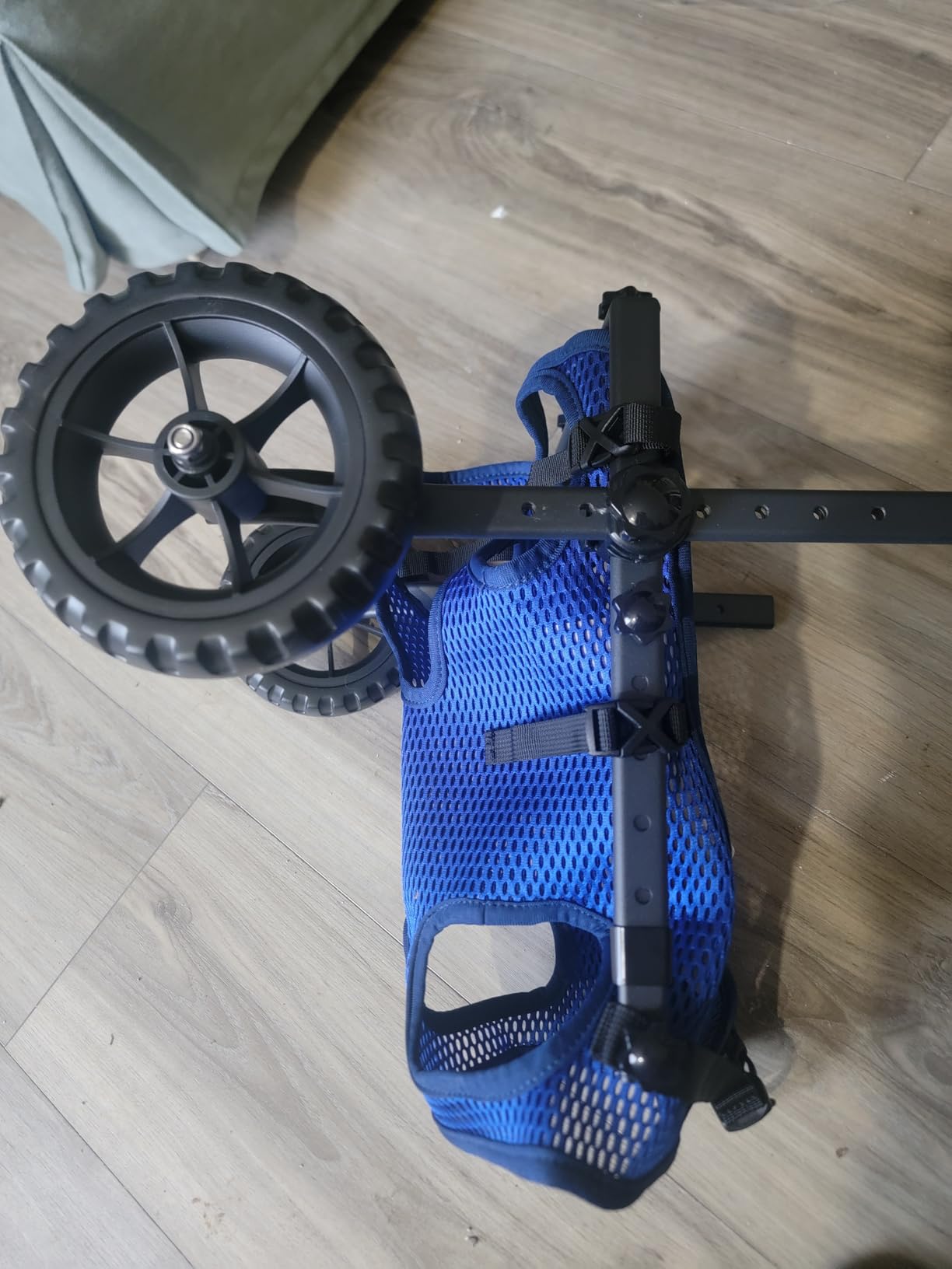 Dog Wheelchair for Back Legs, Dog Wheelchair Cart, Doggy/Cat Wheelchairs with Disabled Hind Legs Walking, Mobility Aids for Small Medium Pet Hind Limbs, Dogs Cart with Wheels, Light Weight, customer photo 1