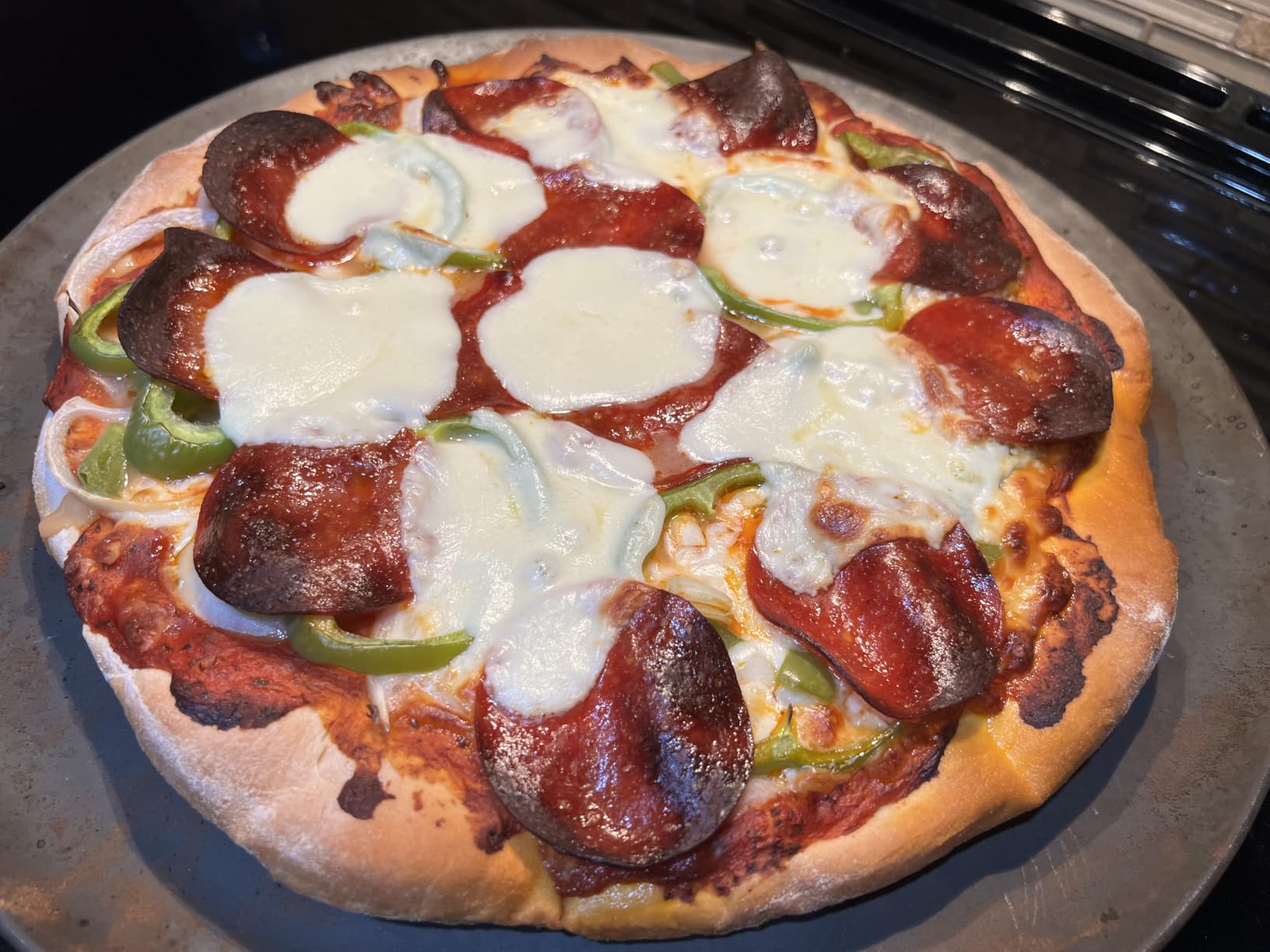 Typhur Sync Air Fryer Oven with Wireless Meat Thermometer Probe, AI Recipes customer photo 2
