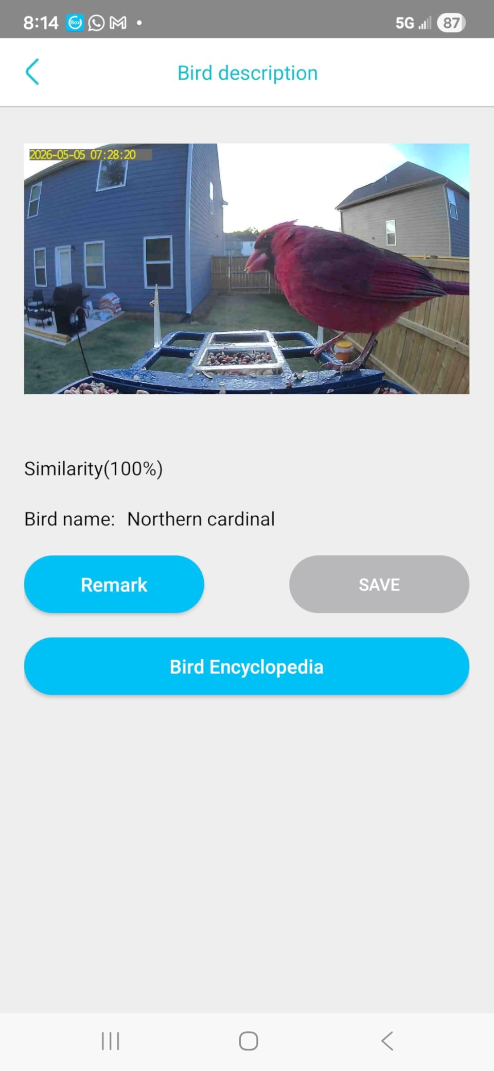 Smart Solar Bird Feeder with Camera & Outdoor Bird Bath customer photo 1