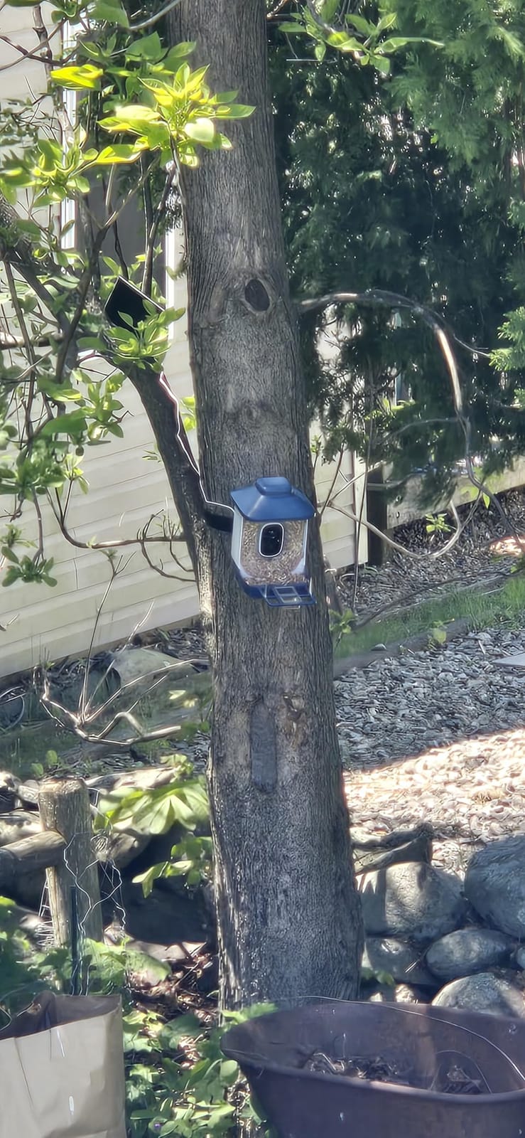 Smart Solar Bird Feeder with Camera & Outdoor Bird Bath customer photo 2