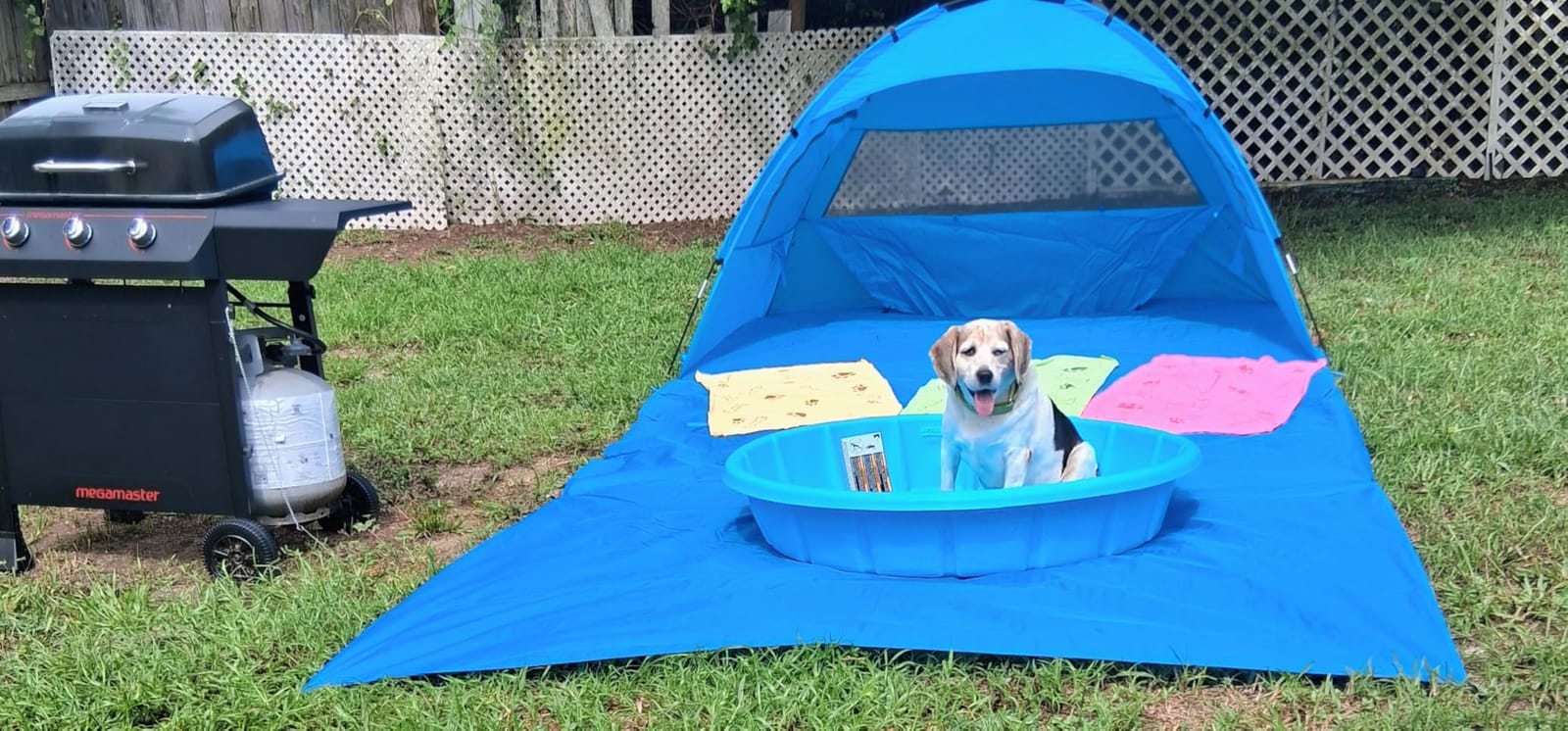 Beach Tent Sun Shelter- with 114 x 82” Extended Mat for 3-6 Person,UPF 50+ UV Protection,Easy Setup Beach Shade Canopy,Portable Camping Sun Shelters with 3 Mesh Window for Family Picnics Fishing-Aqua customer photo 1