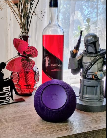 Echo Dot Max (newest model) stereo pair, Graphite customer photo 1