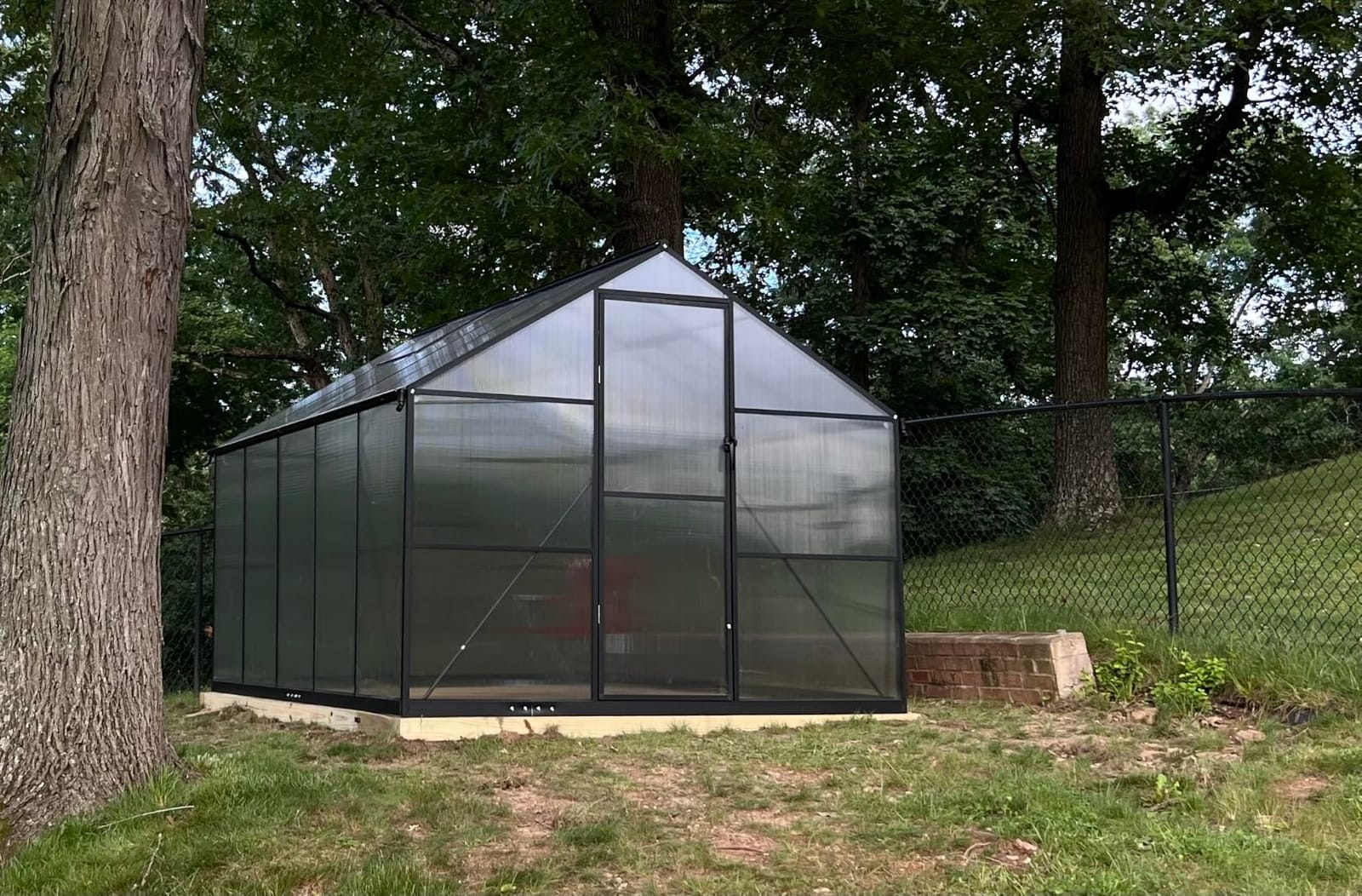 Jocisland 6x12 FT Walk-in Polycarbonate Greenhouse with 2 Top Windows customer photo 2