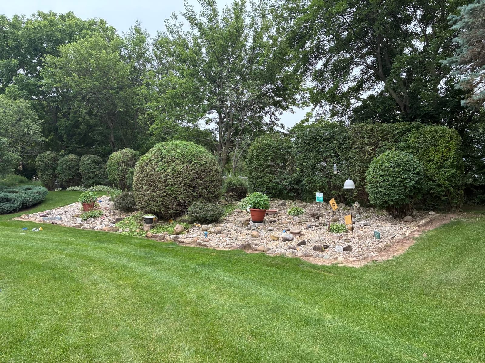 SEESII 20V Pole Hedge Trimmer Cordless, 8.5 FT Reach, Dual 4.0Ah Batteries customer photo 2
