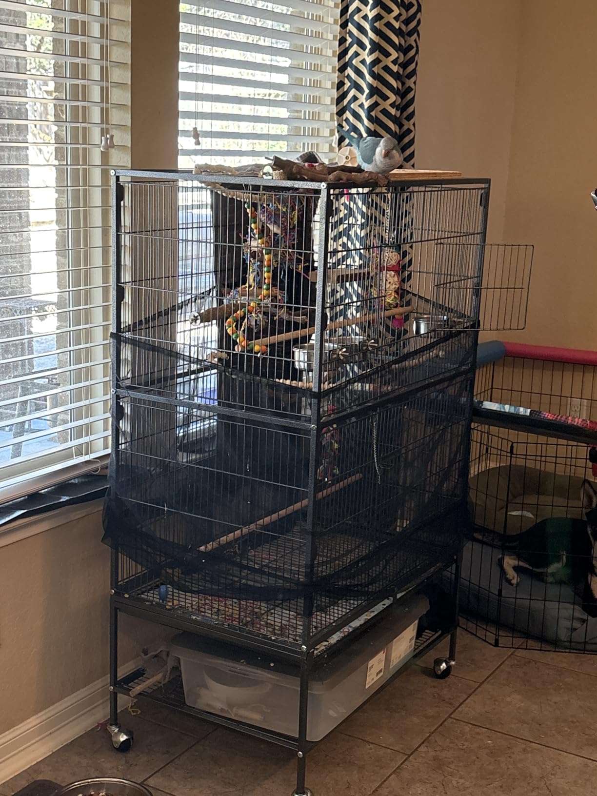 VEVOR Bird Cage, 32.7 x 31.1 x 82.7 inch, Open Flat Top, Wrought Iron Bird Flight Cage with Perches, Slide-Out Tray, Plastic Feeders, for Cockatiel, Monk Parakeet, Amazon Parrot, African Grey Parrot customer photo 1