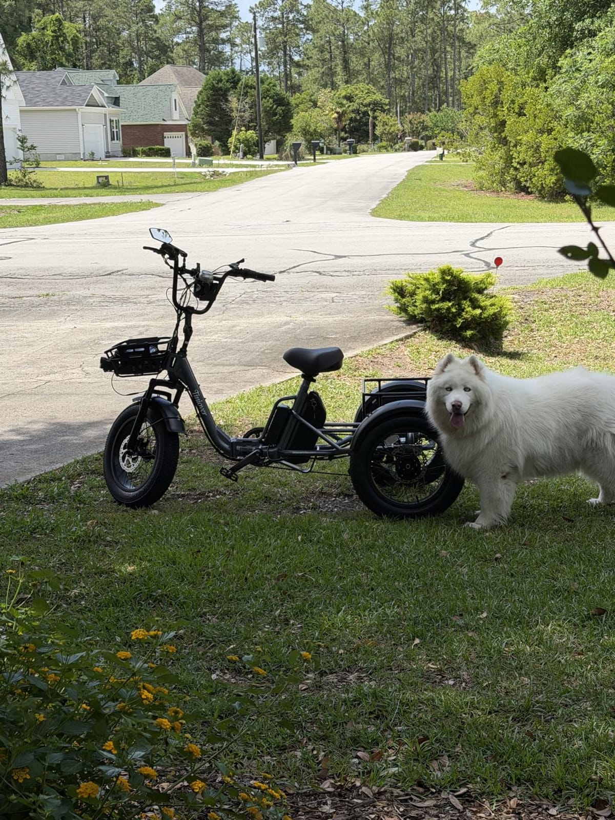 Folding Electric Tricycle for Adults 2 Seater, 20MPH 100 Miles 4