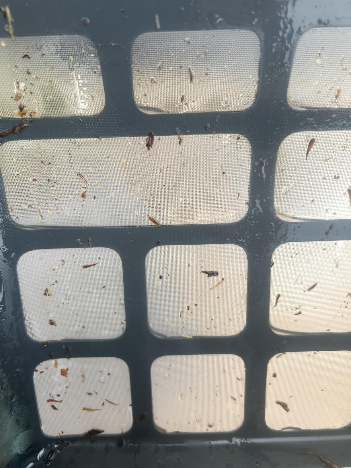 Beatbot iSkim 24/7 Solar Pool Skimmer Robot with App Control, 9L Basket customer photo 1