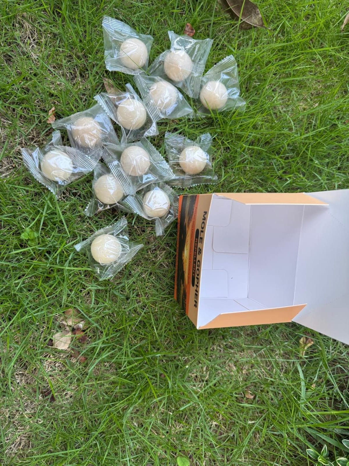 Mole Repellent, Gopher Repellent for Lawn, Groundhog Deterrent-12P customer photo 1