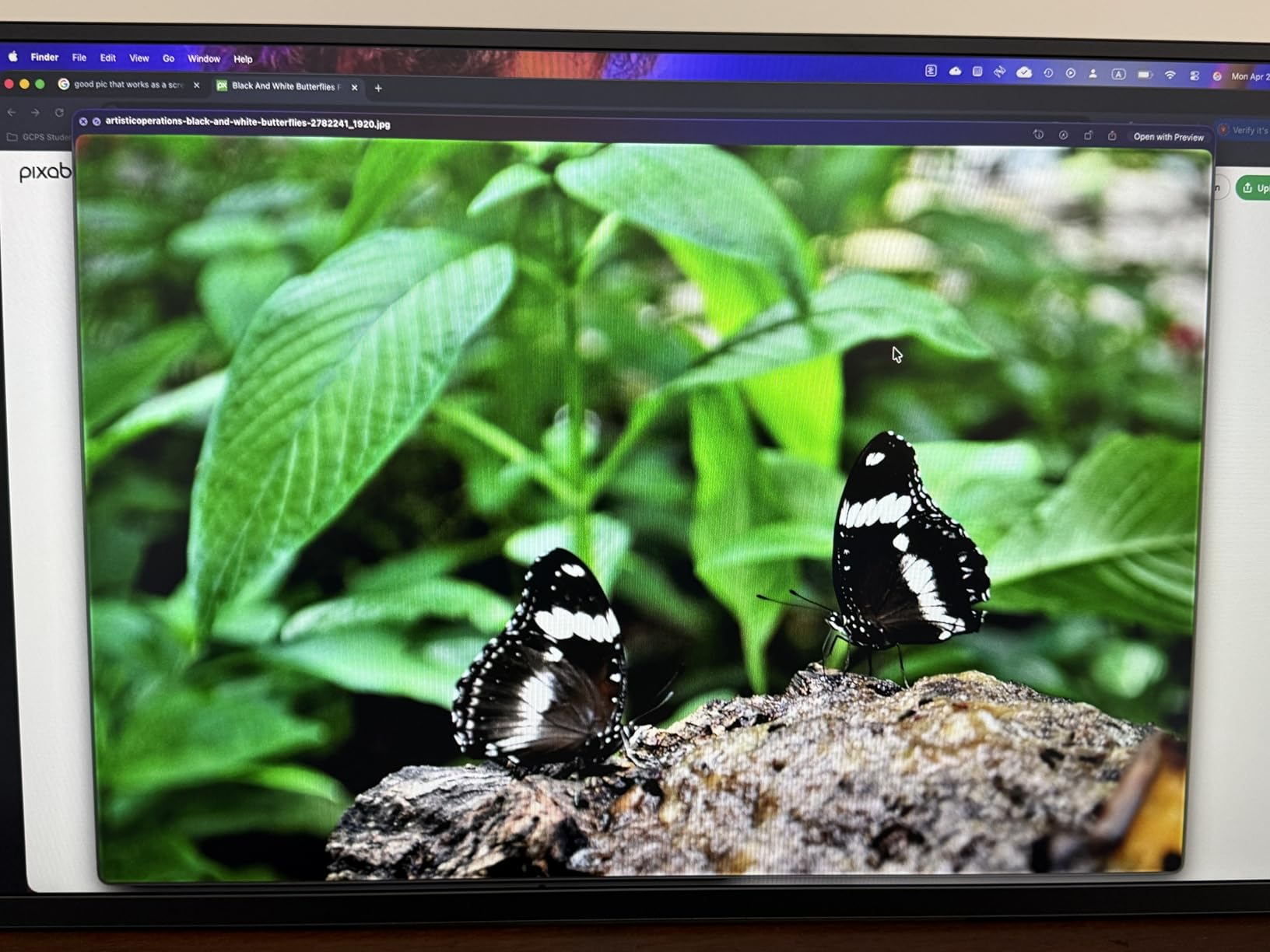 4K Portable Monitor Touchscreen 15.6'', 3840x2160 125% sRGB Laptop Monitor customer photo 2