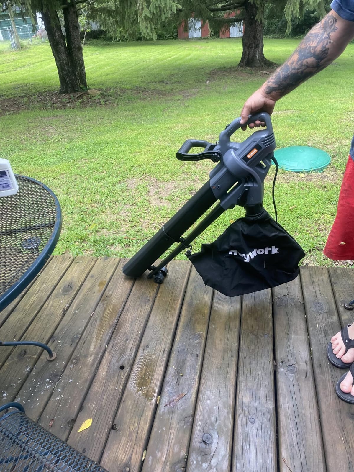 3-in-1 Leaf Vacuum Mulcher, 450 CFM Corded Blower customer photo 1