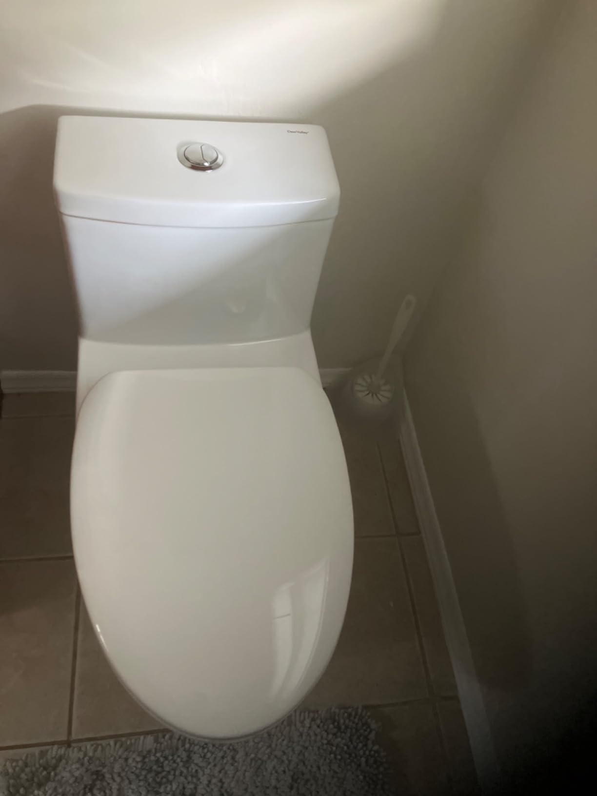 DeerValley Elongated One Piece Toilet with Efficient Dual Flush 1.1/1.6 GPF customer photo 2
