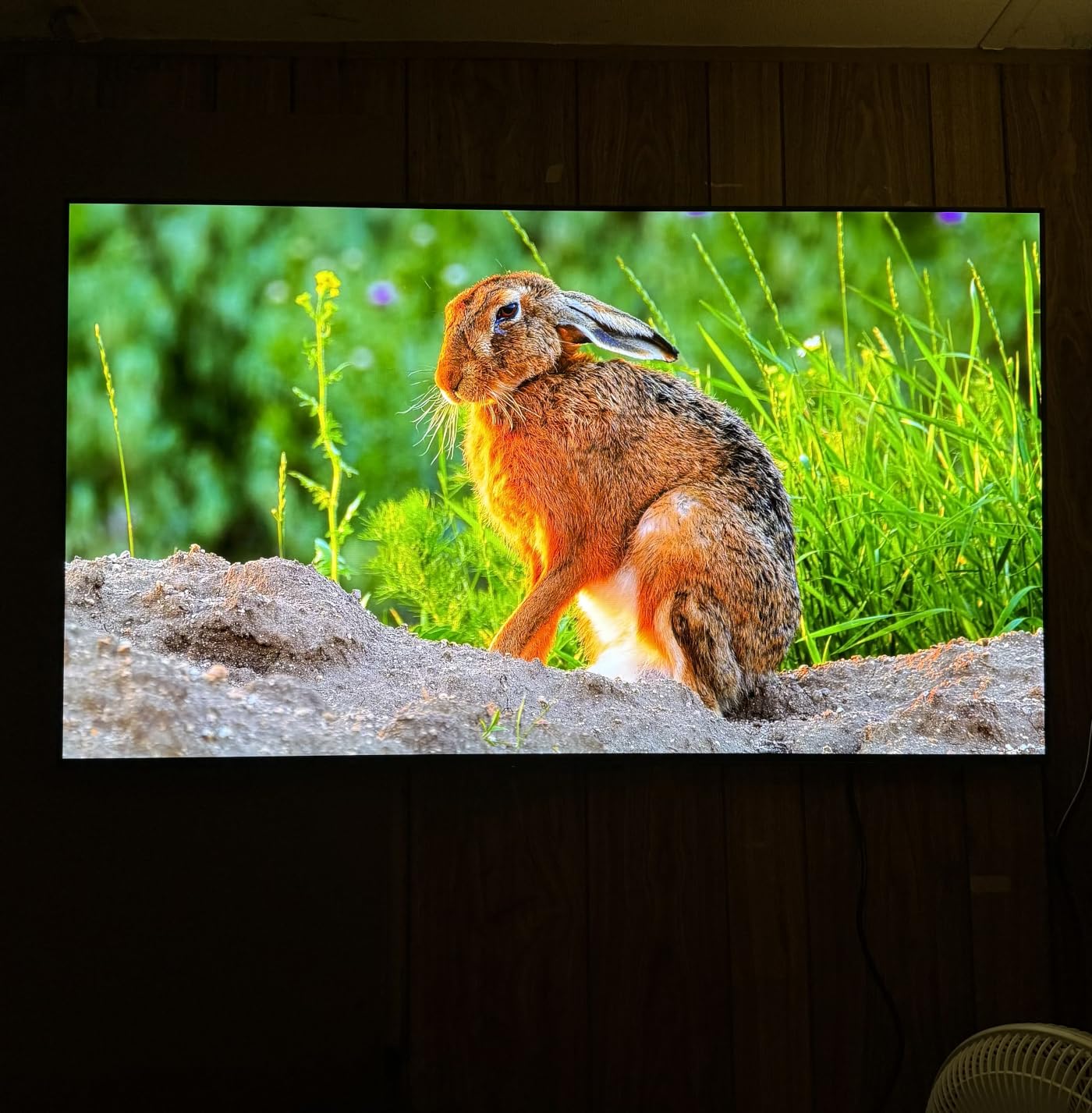 Sony 48 Inch BRAVIA 6 OLED 4K HDR Smart Google TV with Gemini (K-48A60) customer photo 1