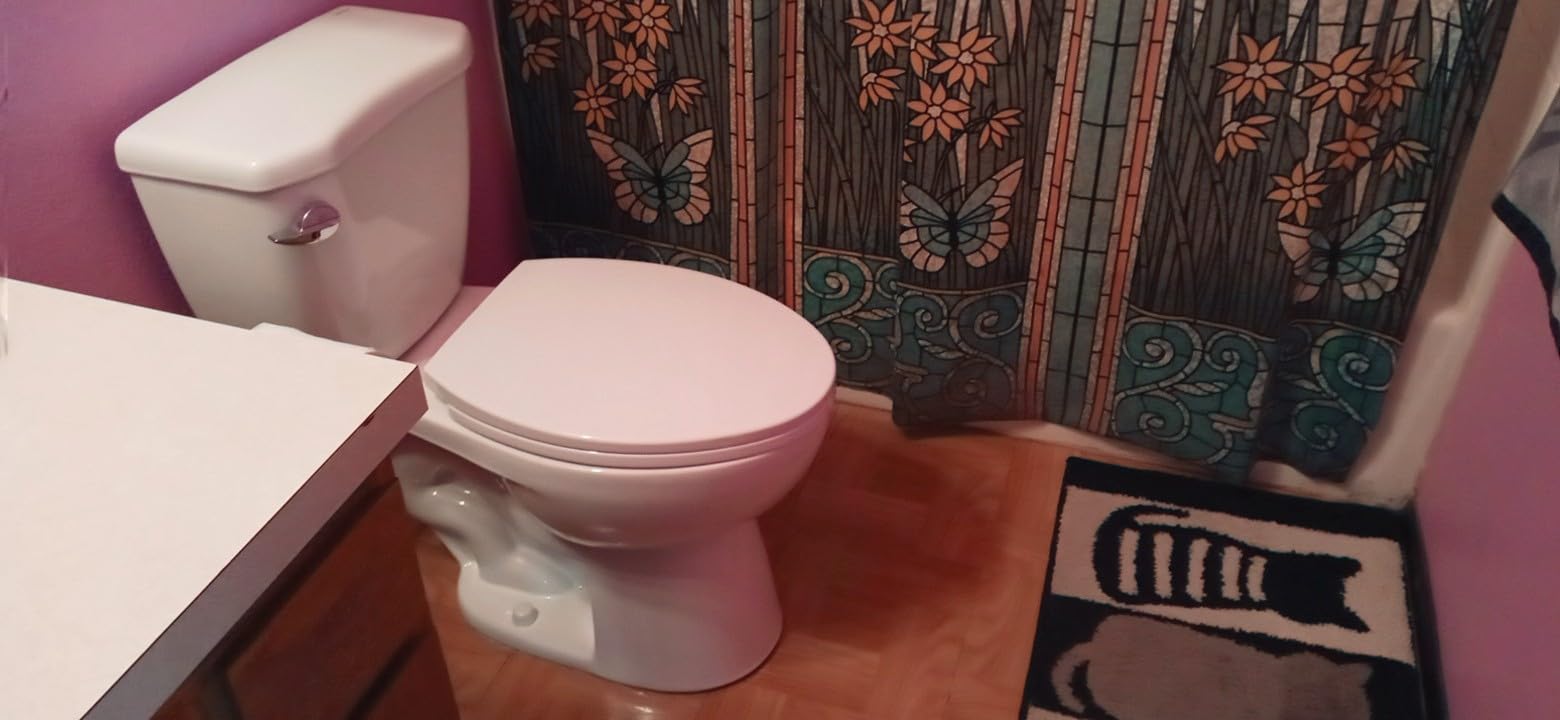 DeerValley Two-Piece Toilet ADA American Standard Toilet 12