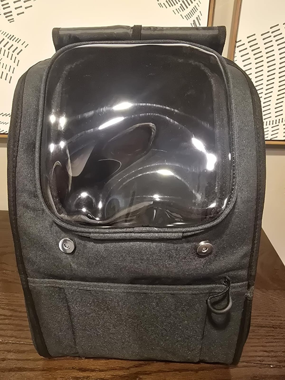 Apollo walker Cat Carrier Backpack for Small-Medium Cats,Dogs customer photo 1