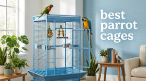 best parrot cages
