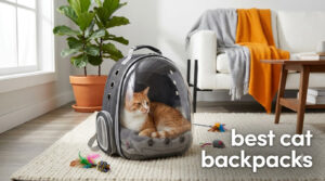 best cat backpacks