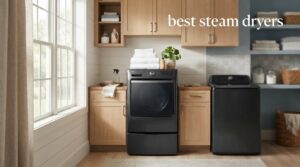 best steam dryers