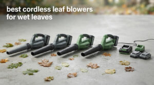 best cordless leaf blowers for wet leaves