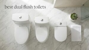 best dual flush toilets