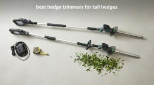 best hedge trimmers for tall hedges