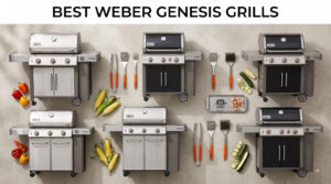 best weber genesis grills
