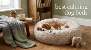 best calming dog beds