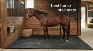 best horse stall mats